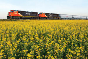 CNR train in a prairie