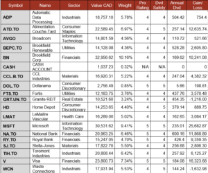 Pension Portfolio Summary table.