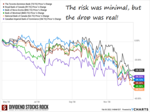 Six Canadian banks, May 08 to Nov 08, drops between 29% and 48%. The risk was minimal, but the drop was real.